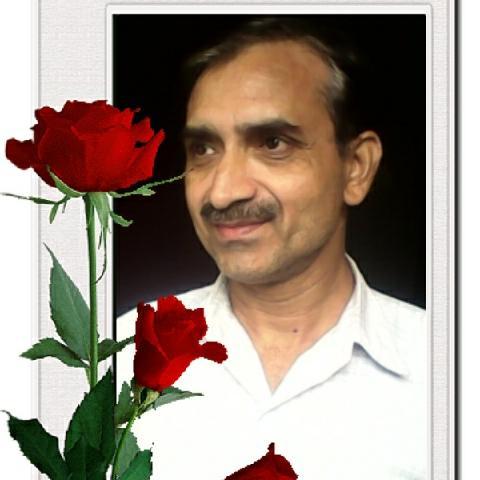 I LOVE MY INDIA