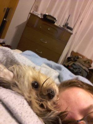 Samread77's profile picture. 