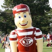 Discoverer Boosters (@discovererboost) 's Twitter Profile