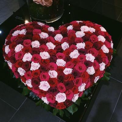 Tmtom4's profile picture. 