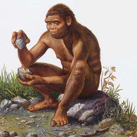 _homohabilis__'s profile picture. I'm an extinct hominid from 1,9 until 1,6 millions years ago.