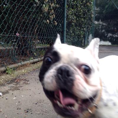 toma_the_great's profile picture. kendimle ilgili bişi dersem cok egoistlik olur