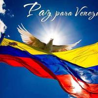 Jose Ramón (@eljosephray) 's Twitter Profile