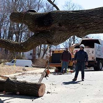 Atlanta Tree Service, Tree Removal, Tree Cutting, Tree Trimming, Emergency Tree Removal, Stump Grinding & Removal