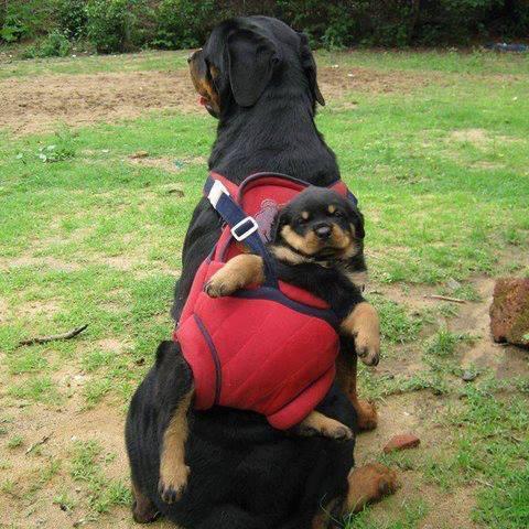 luisandoval69's profile picture. superar lo mejor