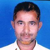 bjp sevak