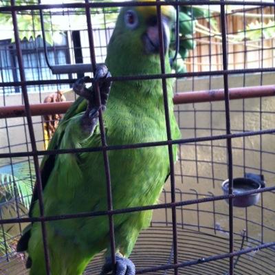 Pife2647's profile picture. ever truthful