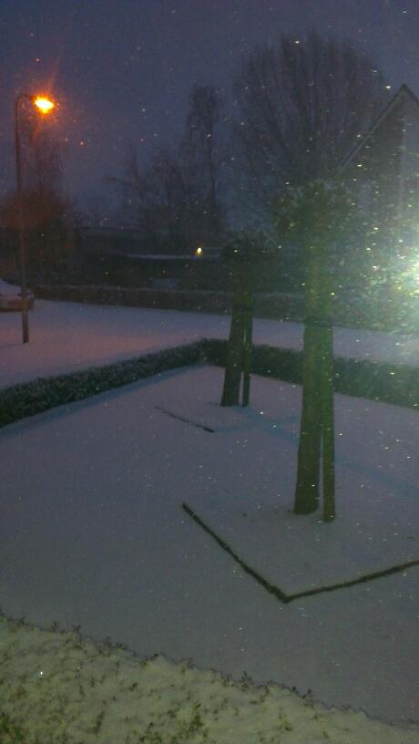 djtwaneggengoor's profile picture. 