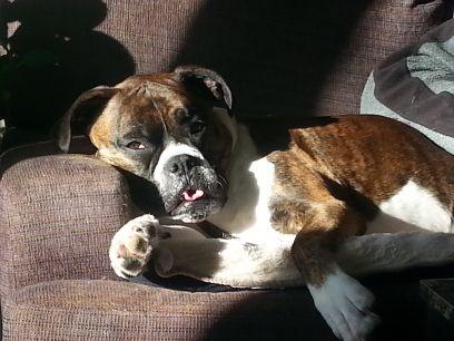 puddylee1962's profile picture. 