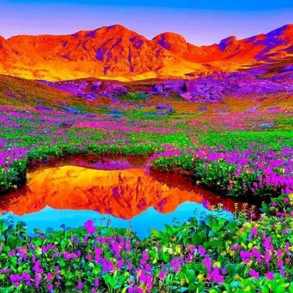 vegasmanL7's profile picture. Just here to make new friends