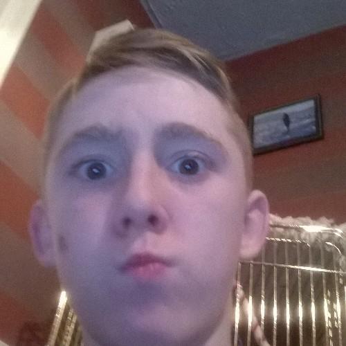 ratboy12323's profile picture. 