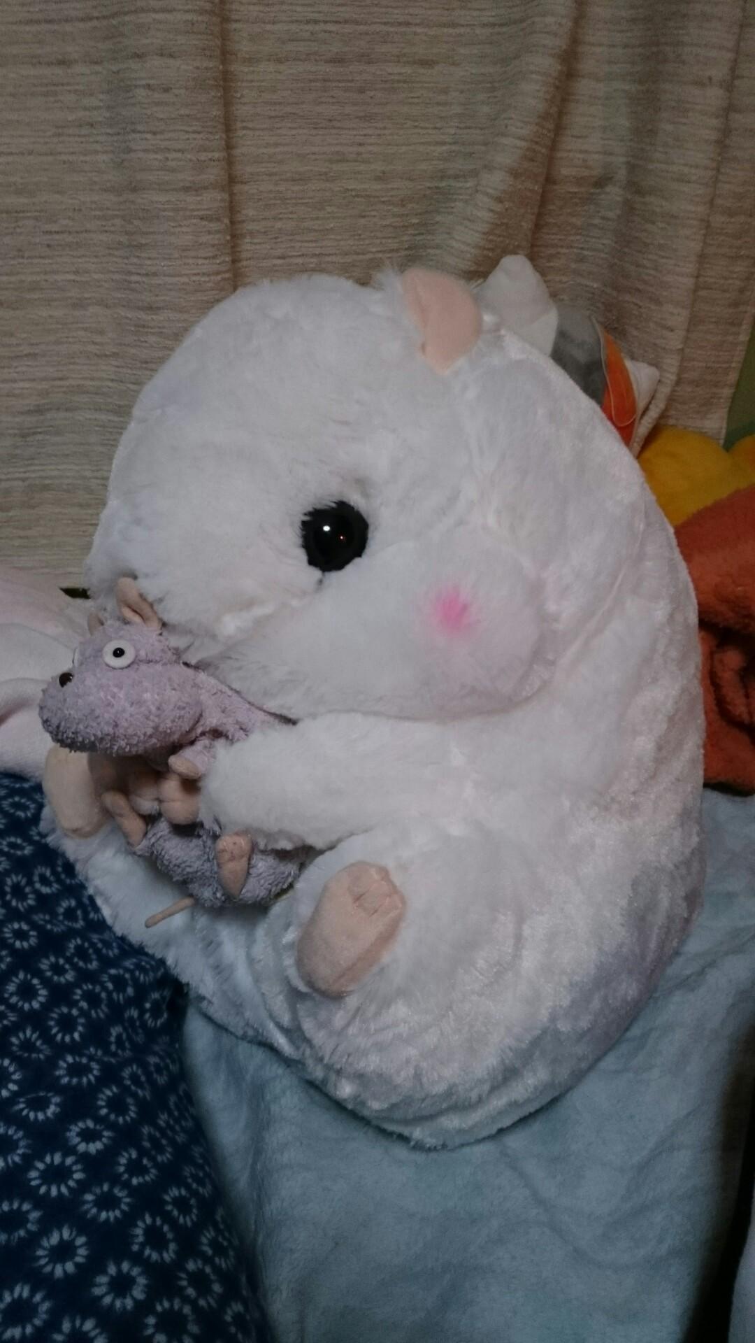 ラテールエメ鯖のたむー。の言った名言や迷言や面白いことを定期的につぶやいていくボットです
たむー。本人ではないのでご注意ください