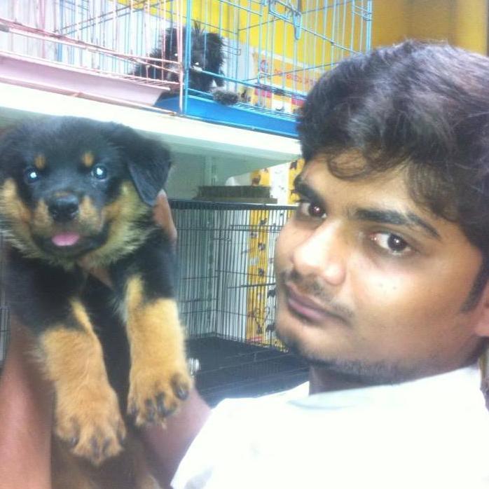 Teja_sandhra's profile picture. 