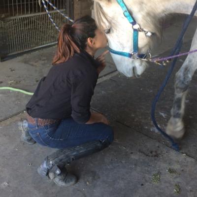 all i need in life is expensive horses and coverd arenas