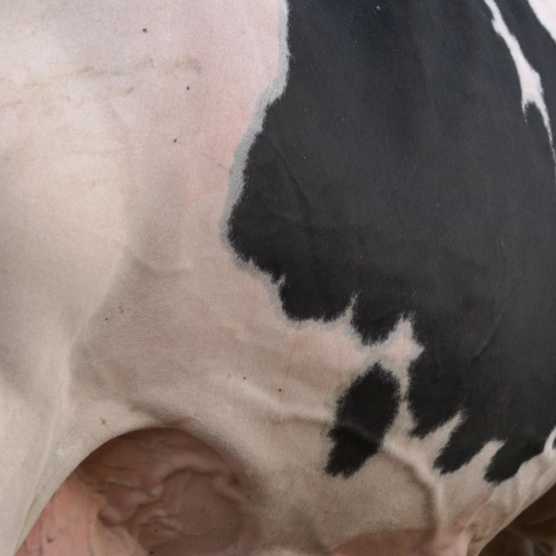 YvanRoulin's profile picture. 