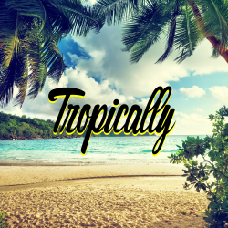 Summer Vibes! All Submissions to hi@tropically.co.uk