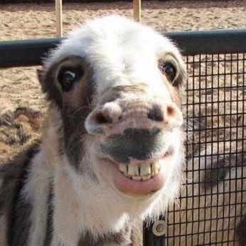 theenicholas's profile picture. An unfinished, constantly evolving work in progress, who strongly believes in Karma and tries his best to always pay it forward.