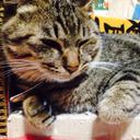 MoMo♡♡ (@0222sS) Twitter