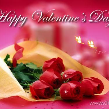 JaozaLove's profile picture. 