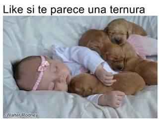 natalia73542753's profile picture. 