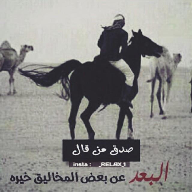 الله أكبر الله أكبر ولله الحمد