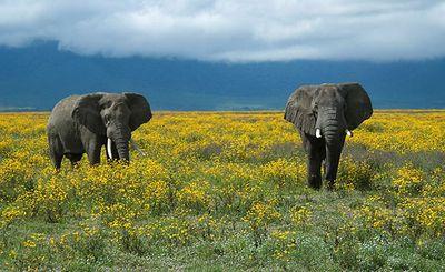 Fascinating Pictures of the beautiful planet we live on