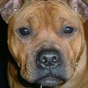 Corey Cassell - @iStylez_XD - Twitter