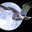 Lissette Rivera - @lisset04rivera - Twitter