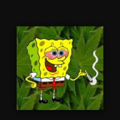Smoke Weed EveryDay -Snoop Dogg