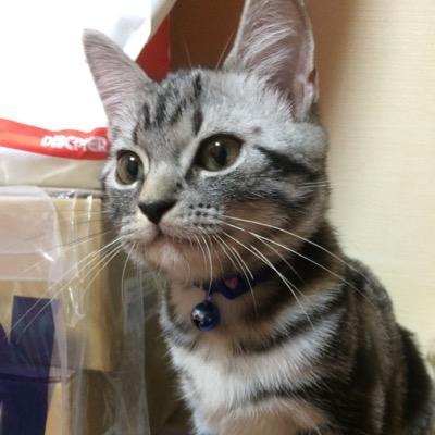 miwaが好きな中3の女C〜です！
LIVE絶対行くし！！
miwaが好きな子どんどんフォローして！
フォロバ率441%〜  よろしくね♡