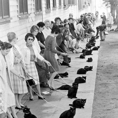 ClaireClair3's profile picture. 