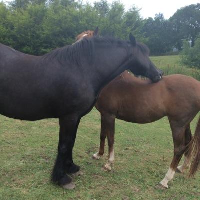 mumtoem's profile picture. Married with 3 children, 2 of which have disabilities.