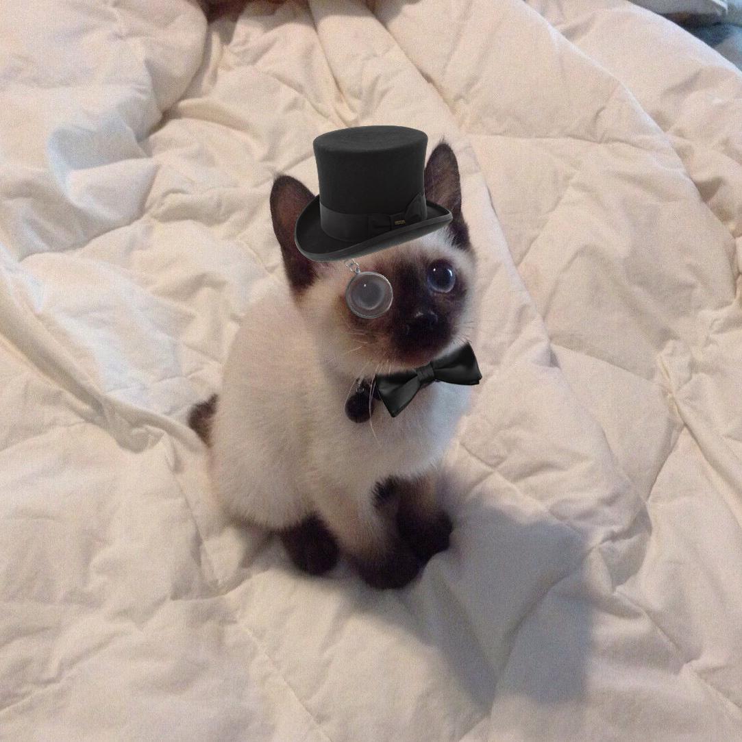 Vastrakal's profile picture. Former Competitive Smite Player