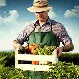 theorganicdad's profile picture. This is a community for Dads and all familys who want to raise their children to love others, the earth and live an organic lifestyle ♡