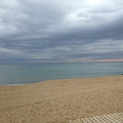 amaringoz's profile picture. 