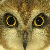 @TUKULOTE (@tukulote) 's Twitter Profile Photo @TUKULOTE (@tukulote) 's Twitter Profile Photo