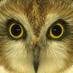 @TUKULOTE (@tukulote) Twitter profile photo