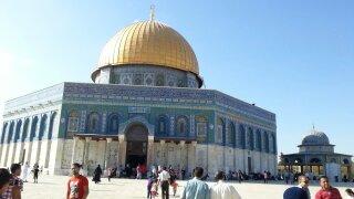 KasimOzkulluk's profile picture. 