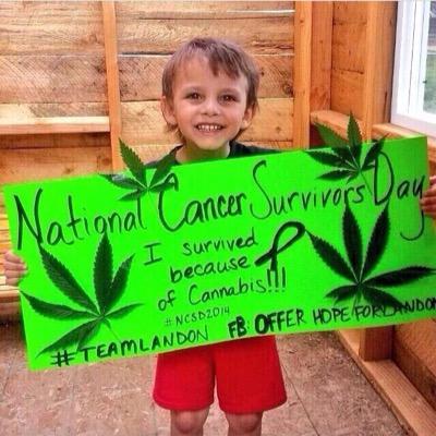mj_nys's profile picture. NYS Lawmakers have introduced The Marihuana Taxation and Regulation Act to the tables. It's up to the people to stand up for what they know is true.