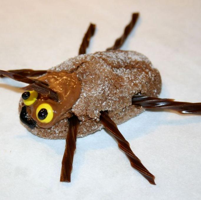 Cockroaches are nutritious, plentiful and great protein! Campaigning for everyone to enjoy the true crispy flavour of cockroaches to halt global warming!
