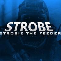 Alfons • Swedish • Editor for Style Sniping