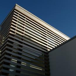 andrew21271679's profile picture. 