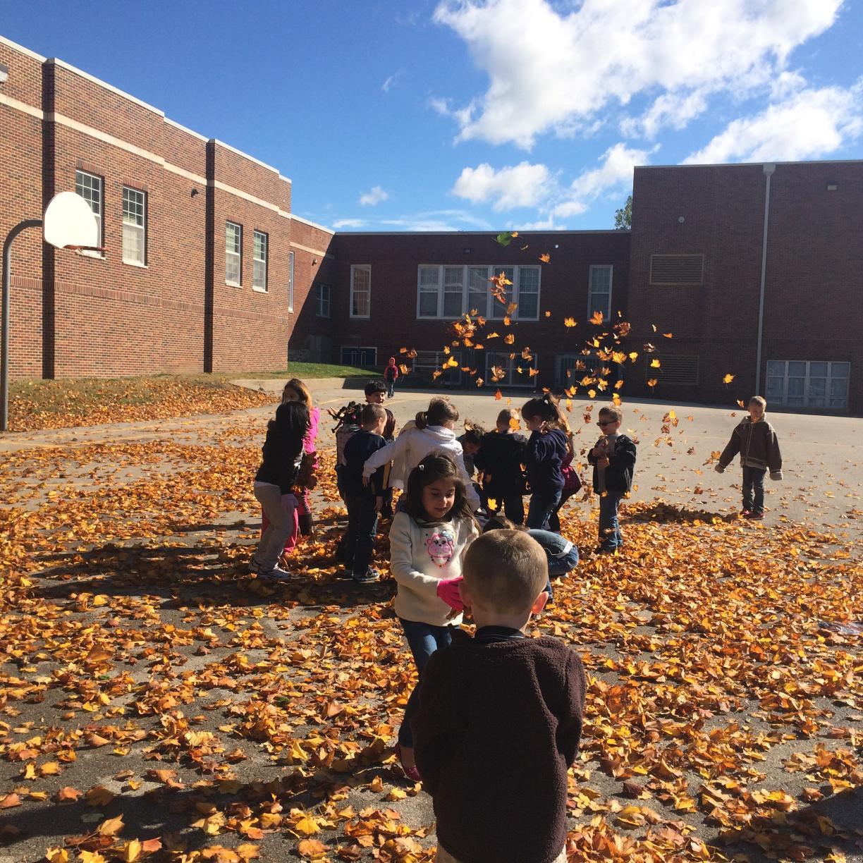 Williams3TE's profile picture. We are a class that loves to connect and use technology. We are always looking for other classrooms to share our learning.