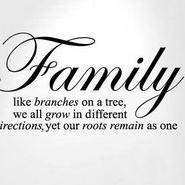 Finding biological family of abandoned babies thru DNA and uniting adoptees with birth family. Non profit community organisation