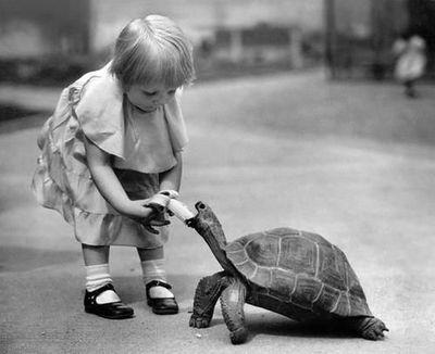 LouiseD_H's profile picture. hibernating