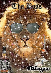 Bossforlife247's profile picture. 