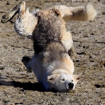 funnyordie1000's profile picture. 