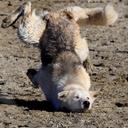 Tony Andrew Webb - @funnyordie1000 - Twitter