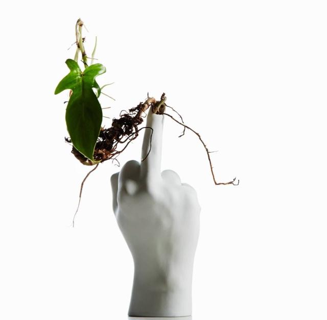 fonon4's profile picture. 