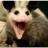 DaAwesumPossum's profile image